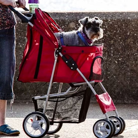 Perwakilan Pemeriksaan Medis