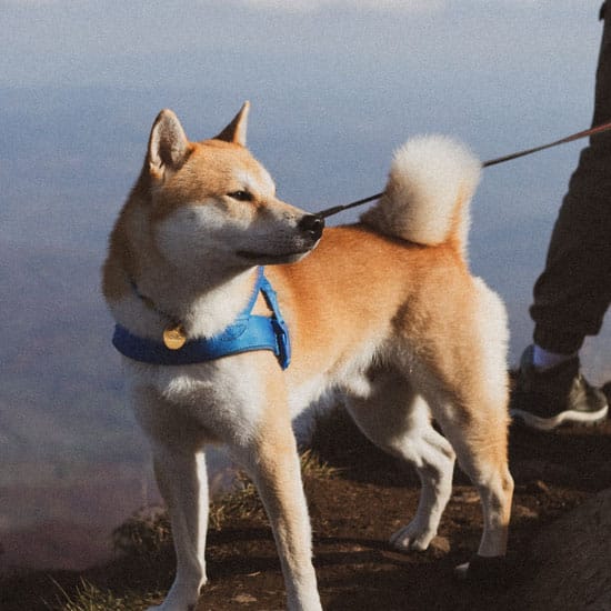 Perjalanan Antar Kota